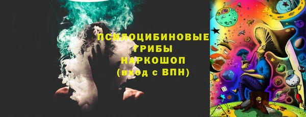 ECSTASY Бородино