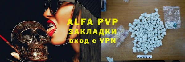 ECSTASY Бородино