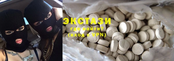 ECSTASY Бородино