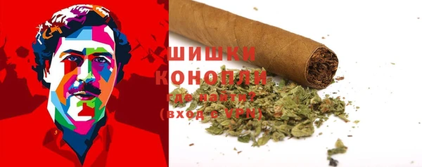 ECSTASY Бородино