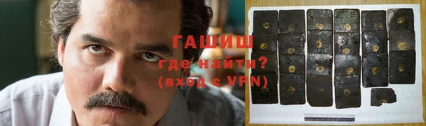 ECSTASY Бородино