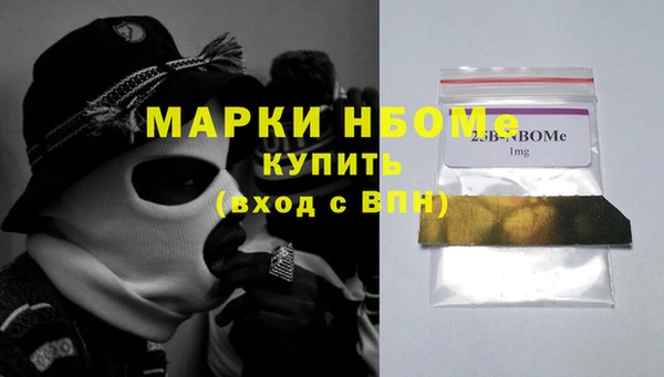 ECSTASY Бородино