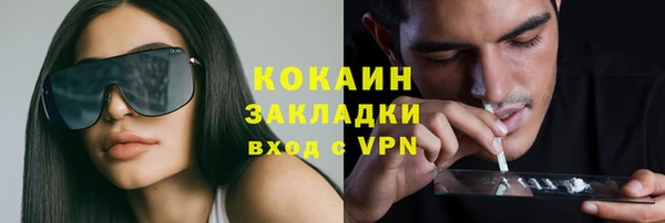 мдпв Бронницы