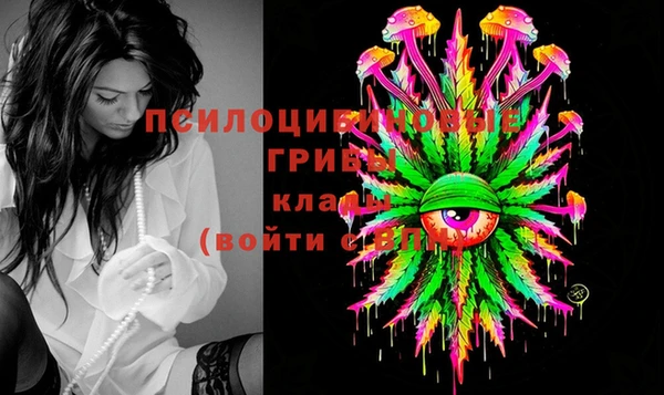 ECSTASY Бугульма