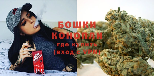 мдпв Бронницы