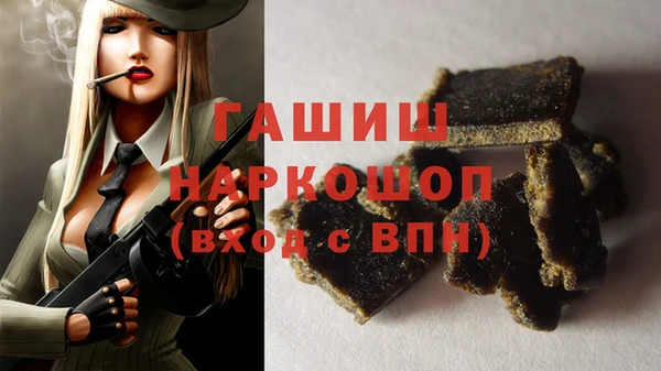 ECSTASY Бородино