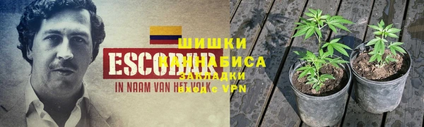 ECSTASY Бородино