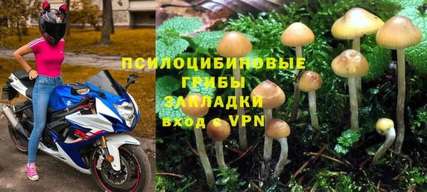 ECSTASY Бородино